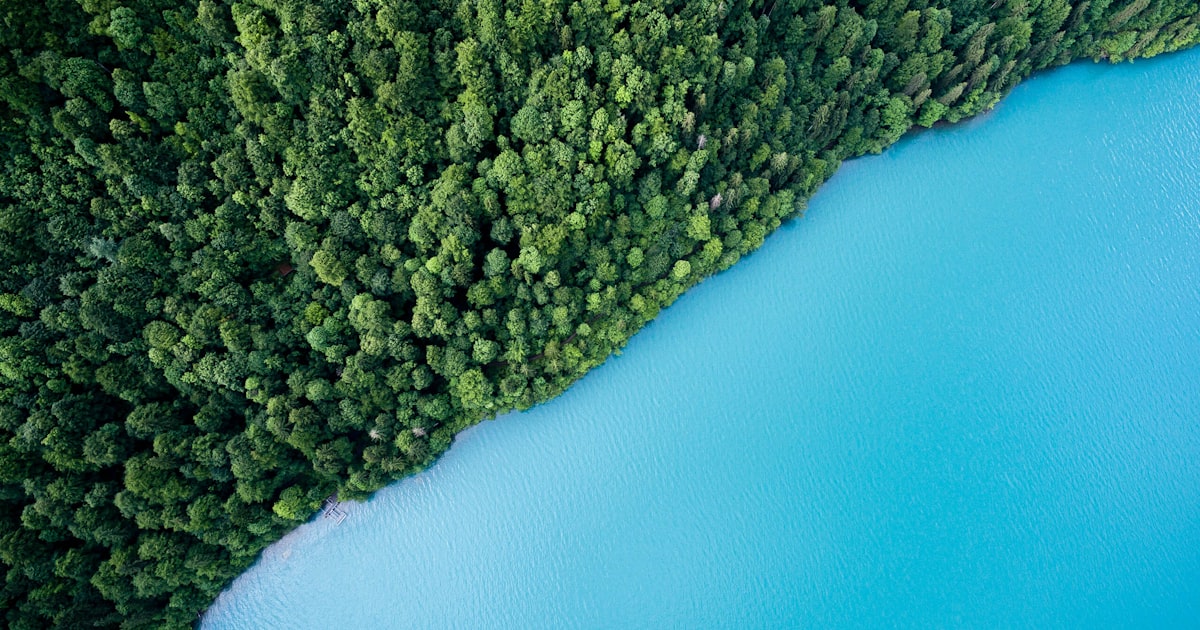 Stress: riconoscerlo, capirlo e imparare a gestirlo